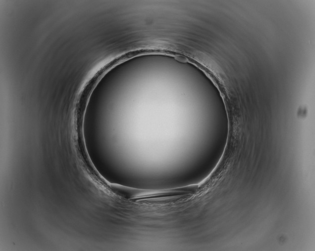 X0000098101120200804041237