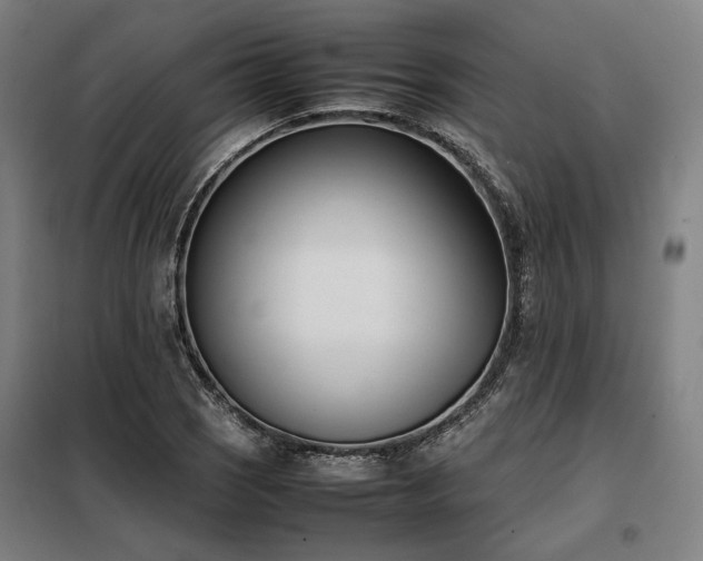 X0000098101121200804041237