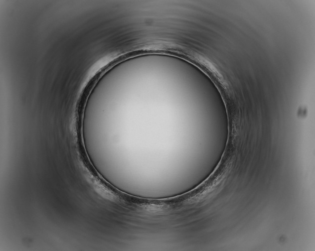 X0000098101122200804041237