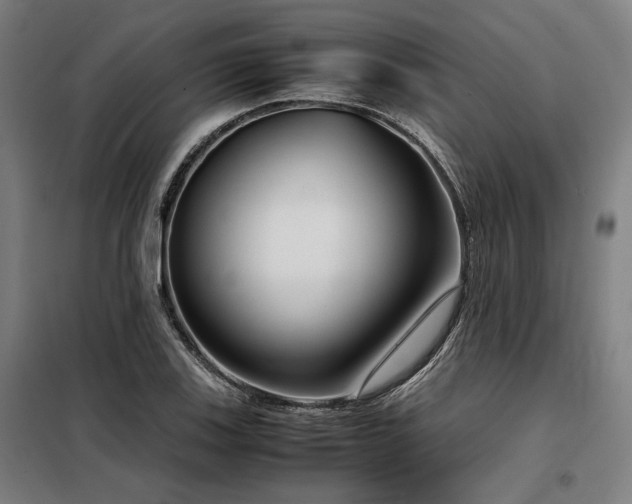 X0000098101123200804041237