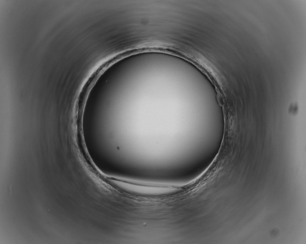 X0000098101124200804041237