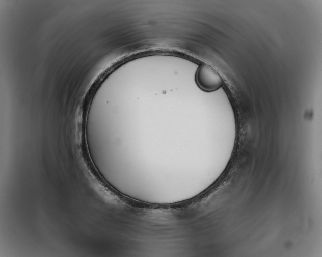 X0000098101126200804041237