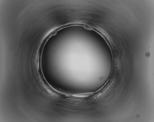 X0000098101127200804041237