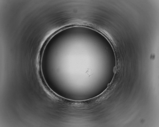 X0000098101128200804041237