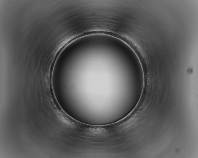 X0000098101129200804041238