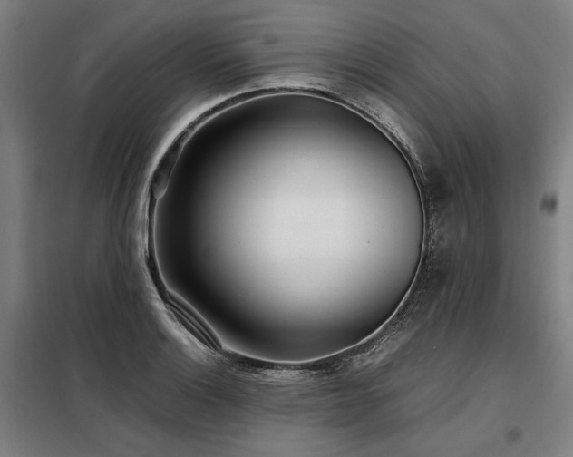X0000098101132200804041238