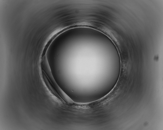 X0000098101133200804041238