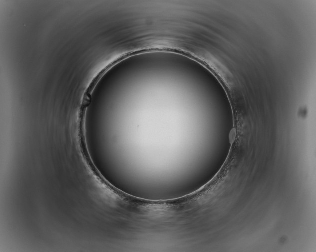 X0000098101134200804041238