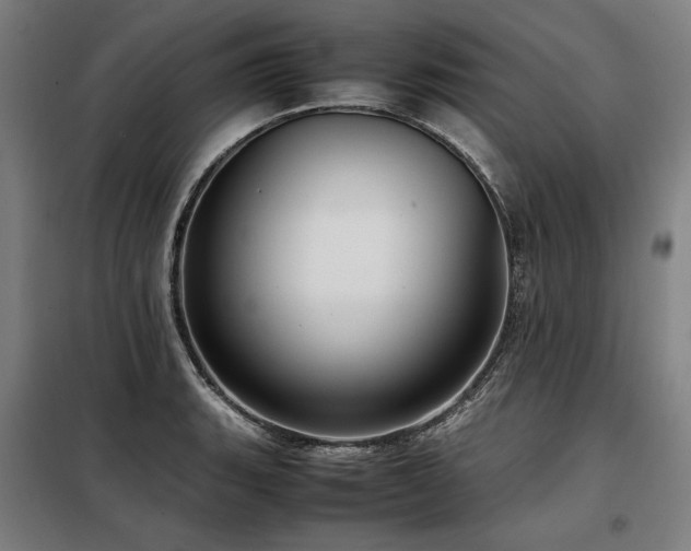 X0000098101135200804041238