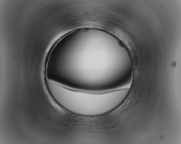 X0000098101136200804041238