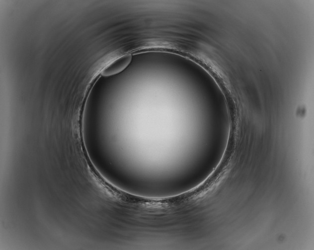 X0000098101137200804041238
