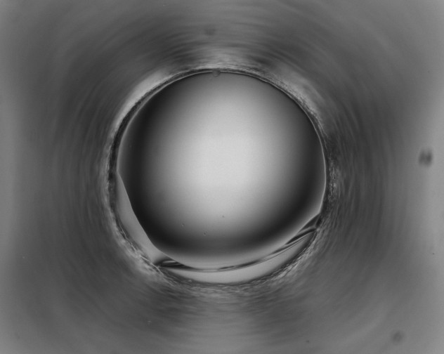 X0000098101138200804041238