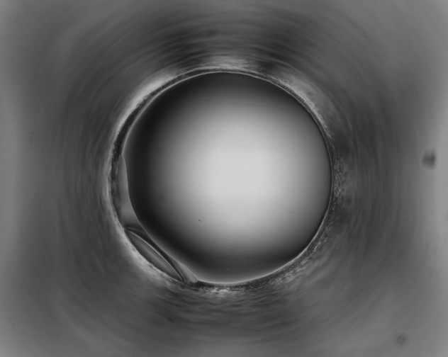 X0000098101139200804041238