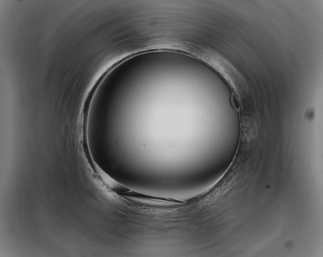 X0000098101140200804041238