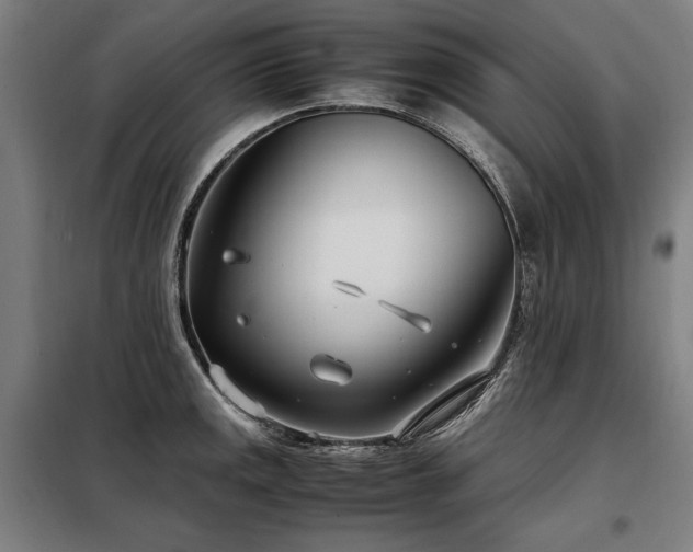 X0000098101141200804041238