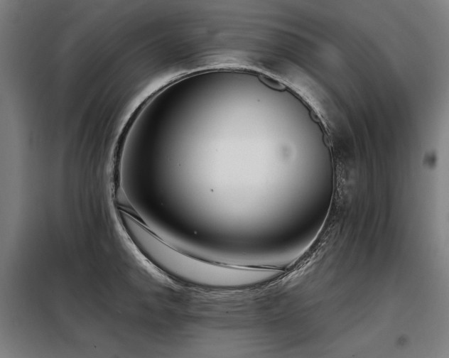 X0000098101142200804041238