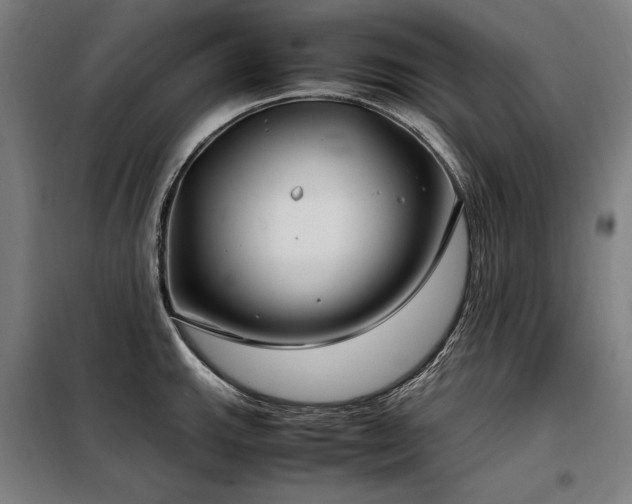 X0000098101143200804041238
