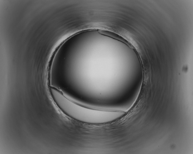 X0000098101144200804041238