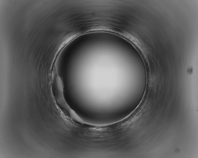 X0000098101145200804041238