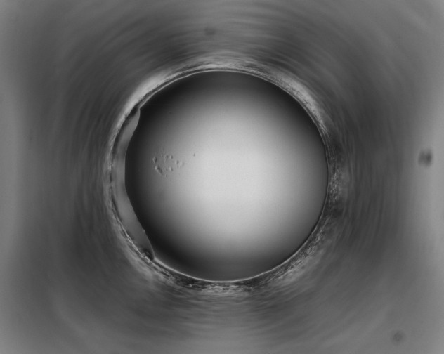 X0000098101146200804041238