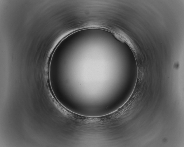 X0000098101148200804041238