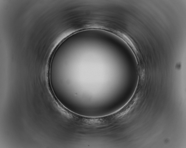 X0000098101149200804041238