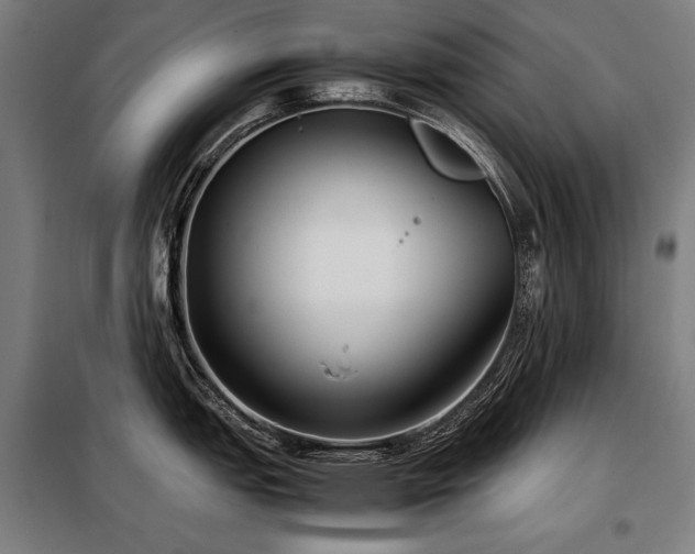 X0000098101151200804041238