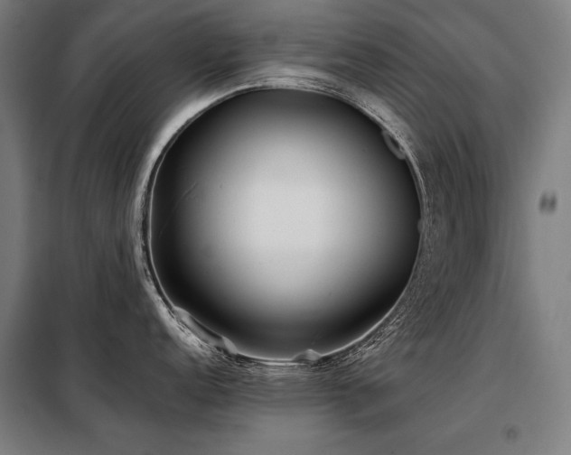 X0000098101152200804041238