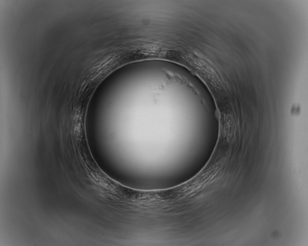 X0000098101154200804041237