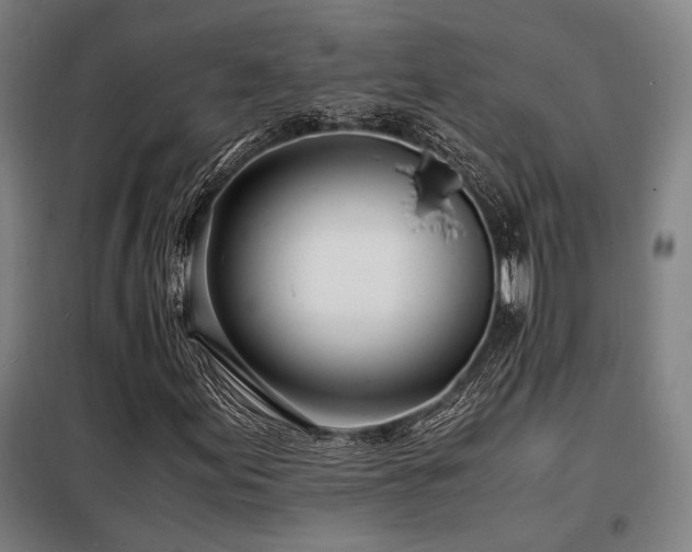 X0000098101155200804041237
