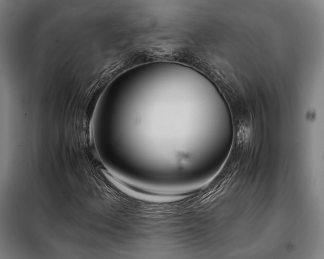 X0000098101156200804041237
