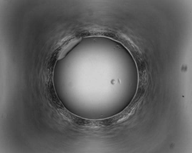 X0000098101157200804041237