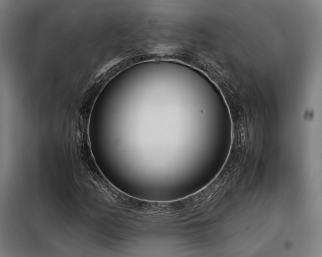 X0000098101158200804041237