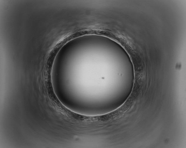 X0000098101159200804041237
