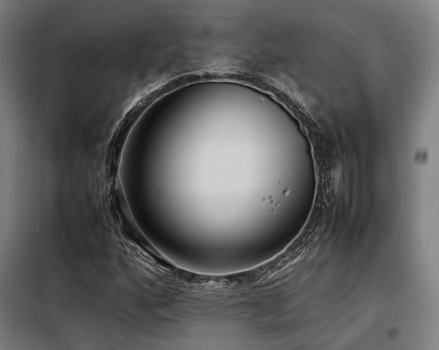 X0000098101160200804041237