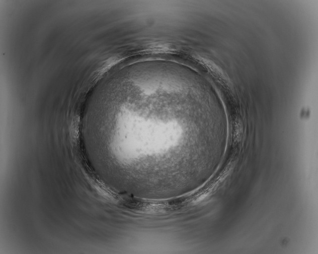 X0000098101161200804041237