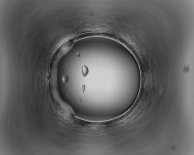 X0000098101163200804041237