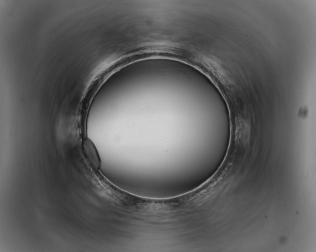 X0000098101164200804041237