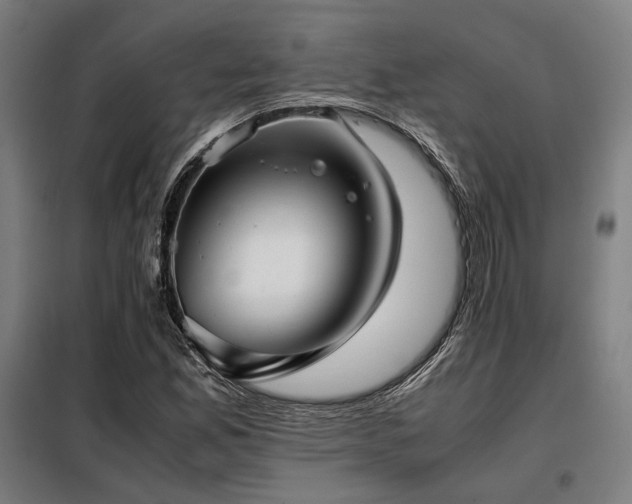 X0000098101165200804041237