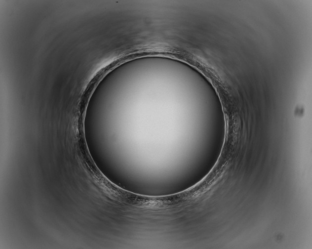 X0000098101166200804041237