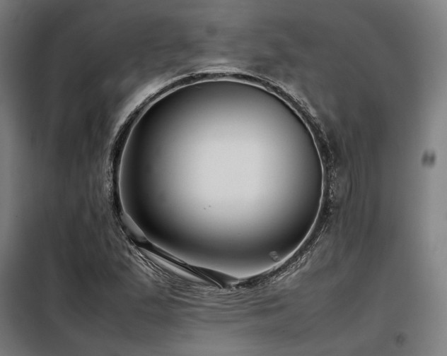 X0000098101167200804041237