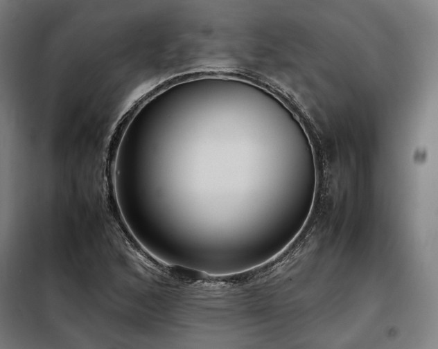 X0000098101168200804041237