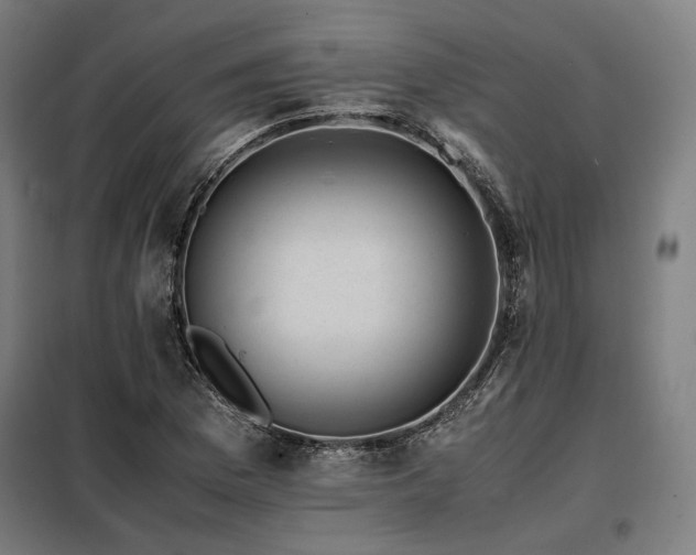 X0000098101169200804041237