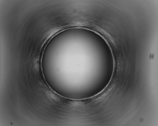 X0000098101170200804041237