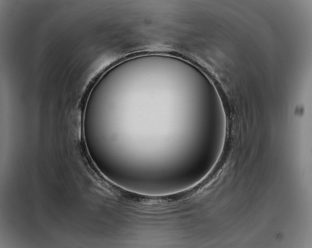 X0000098101171200804041237