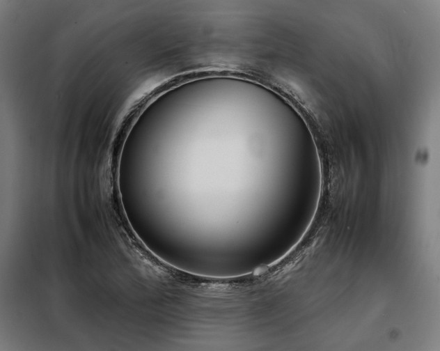 X0000098101172200804041237