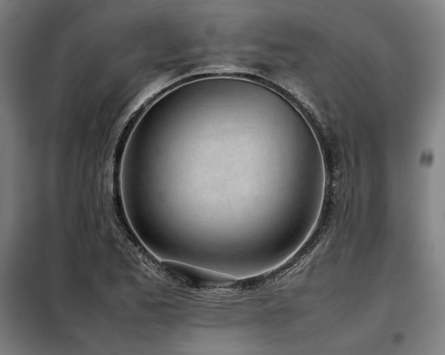 X0000098101173200804041237