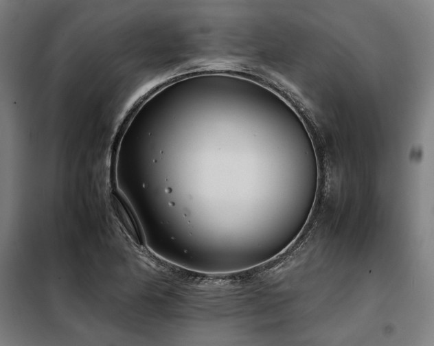 X0000098101174200804041237