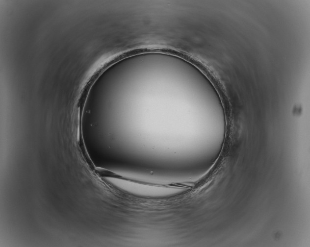 X0000098101175200804041237