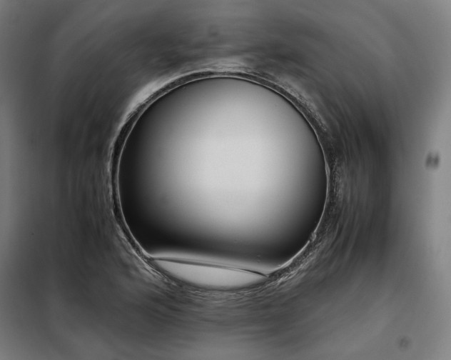 X0000098101176200804041237